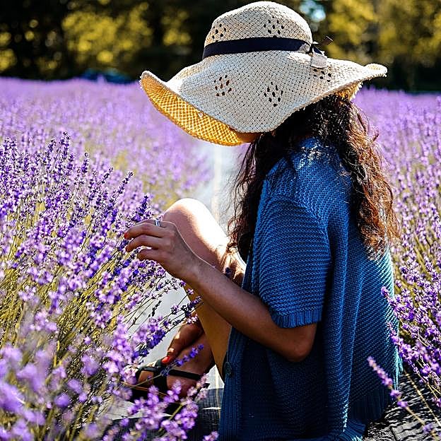 De la cúrcuma a la lavanda: las cinco mejores plantas medicinales para tratar molestias y curar 