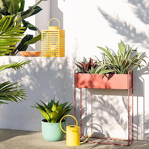 Plantas de exterior en maceteros de colores.