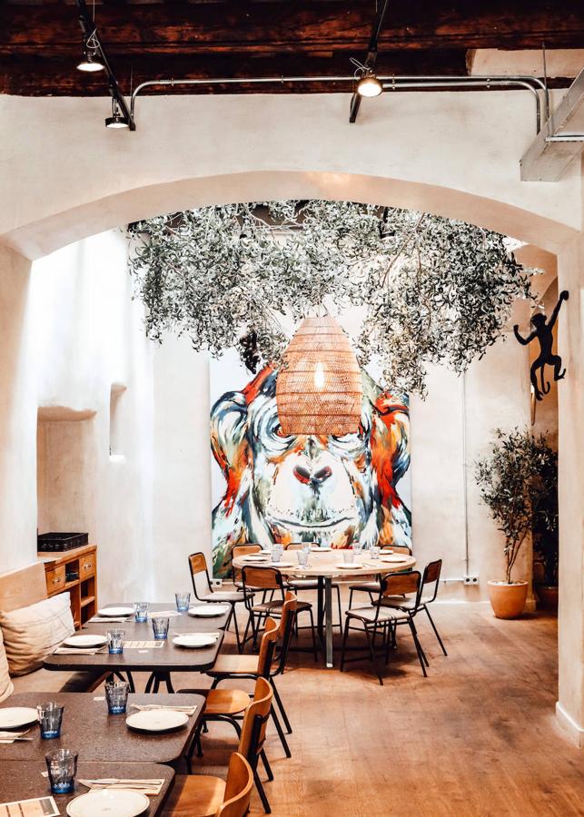 Y la tapa se hizo magna