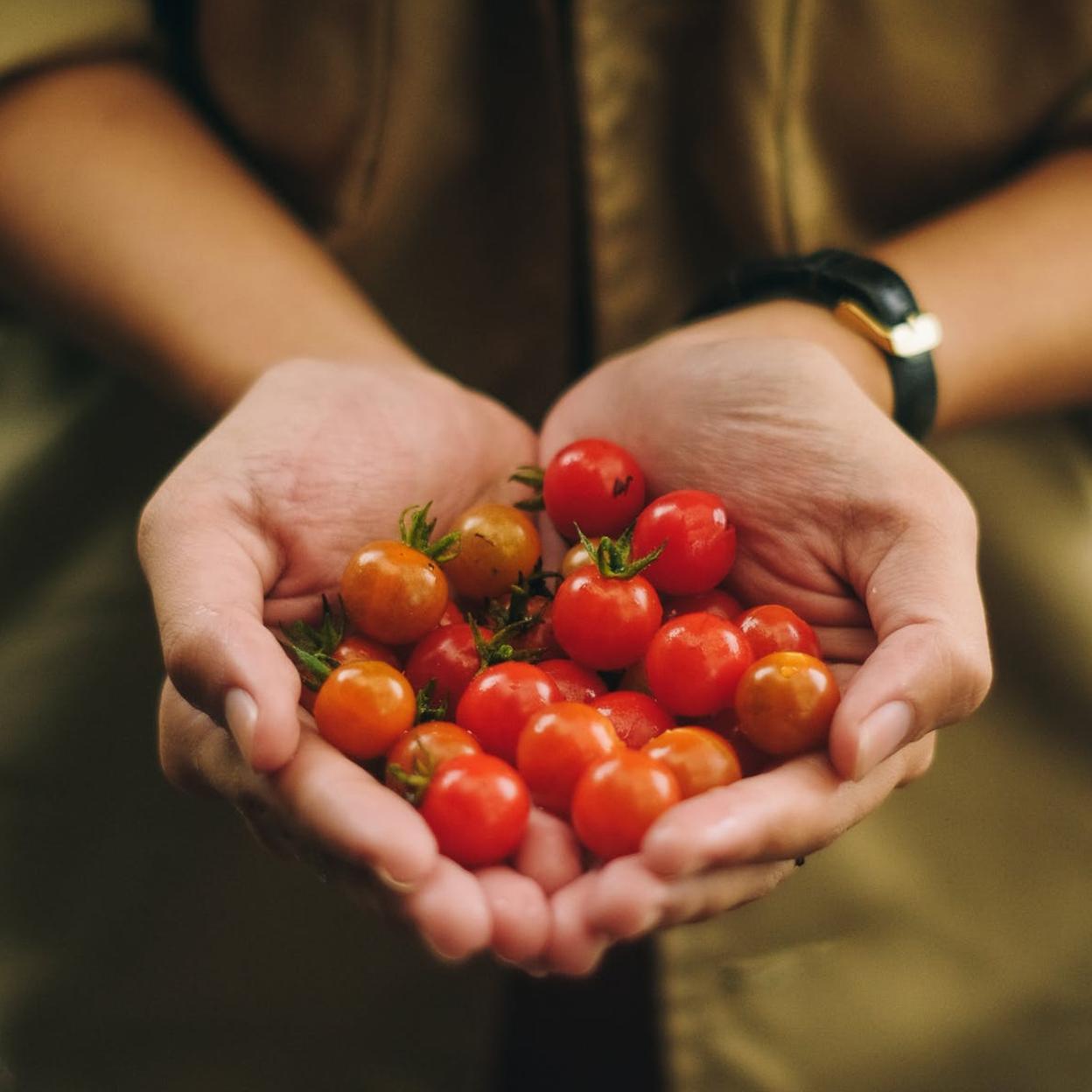 ¿Tomate cherry o tomate normal? Los antioxidantes marcan la diferencia