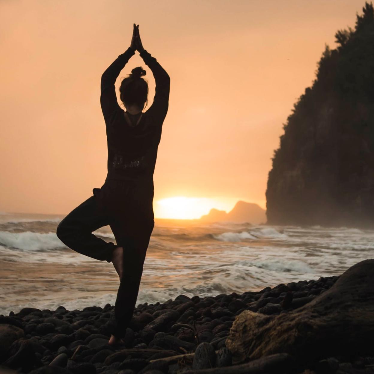 ¿Hatha o vinyasa yoga? Descubre qué tipo de yoga es el mejor para ti