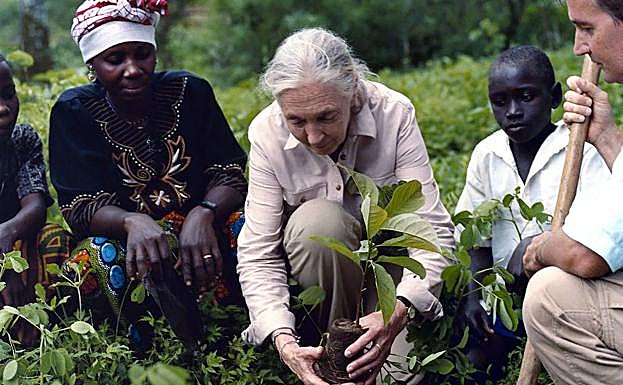 Goodall forma parte de una campaña global para plantar un billón de árboles antes de 2030.