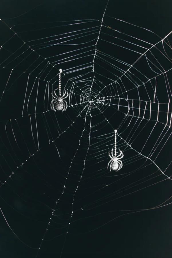 Con arañas de colgante e hilo de aplicación de joyas, estos pendientes con cierre de tuerca cuestan 15,95 euros. 