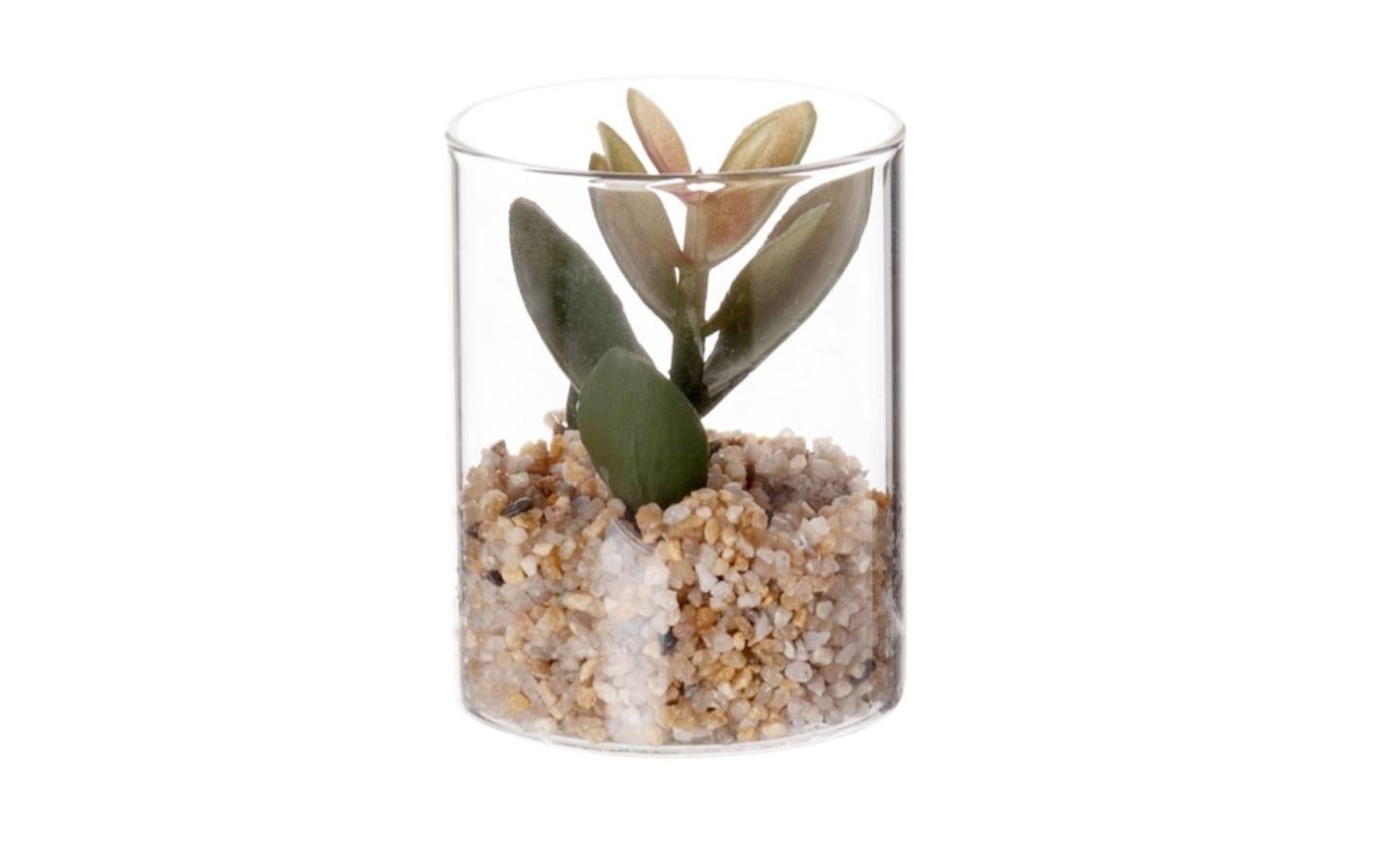 Lote de dos plantas artificiales elaborado con polietileno y vidrio con medidas de 7x5 centímetros. 5,98 euros.