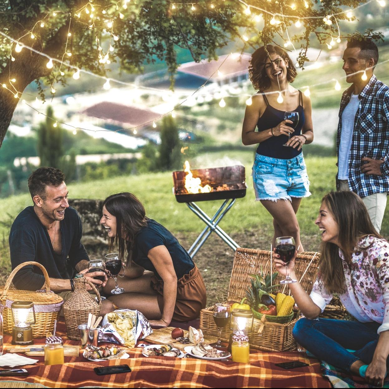 Pincha en la imagen para conocer las mejores ideas para un picnic perfecto. 