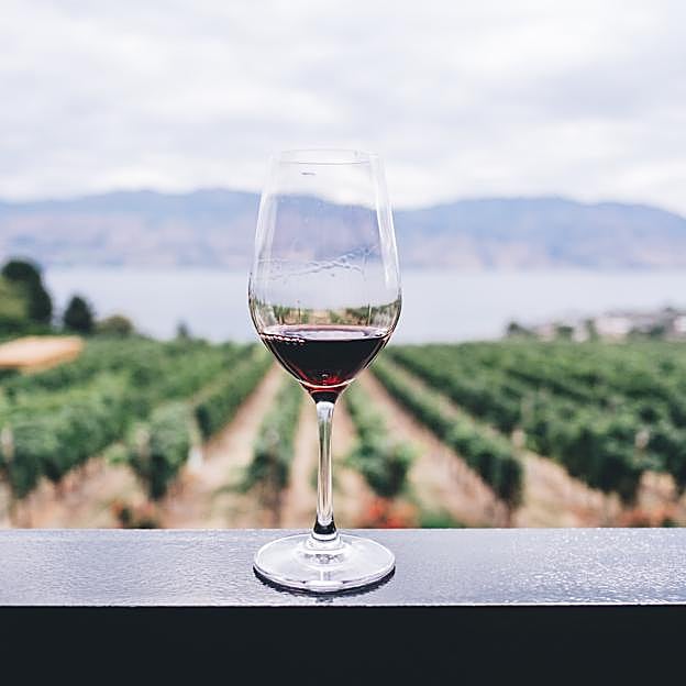 El vino también tiene su lugar propio en Madrid Fusión.