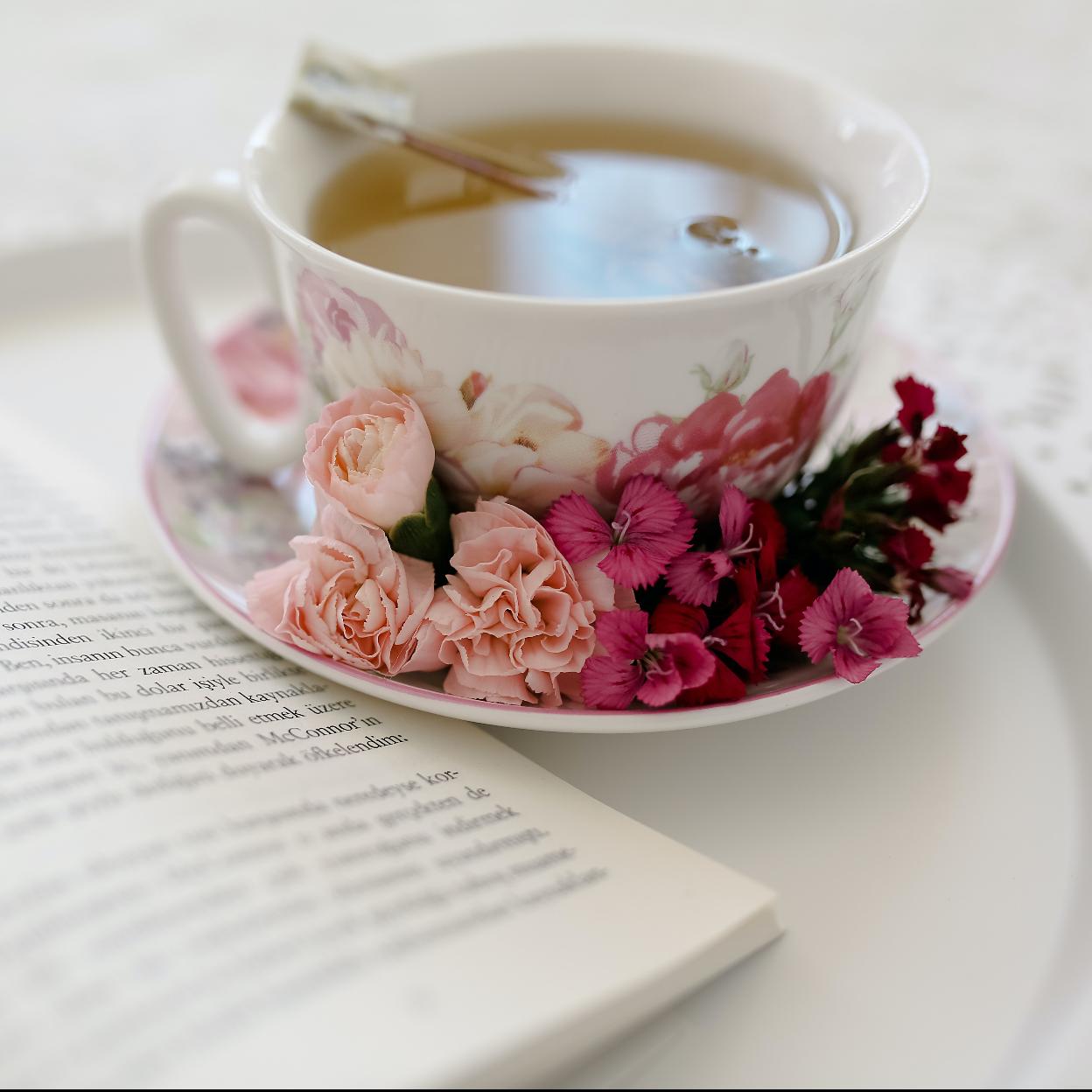 Pincha en la imagen para conocer las mejores infusiones con las que conseguirás adelgazar. 