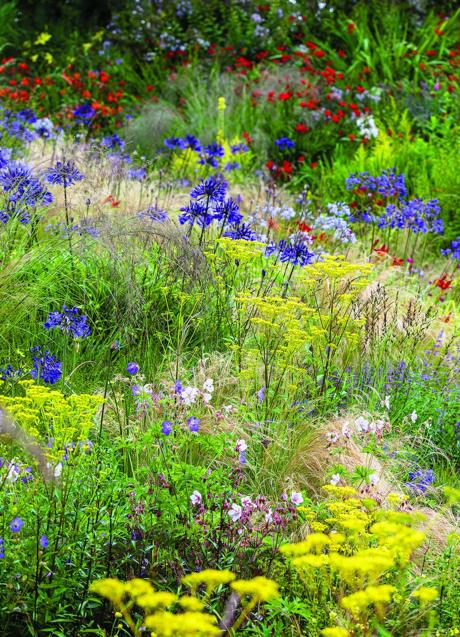 Imagen - Wildside, próximo a Buckland Monachorum, Devon (Reino Unido)