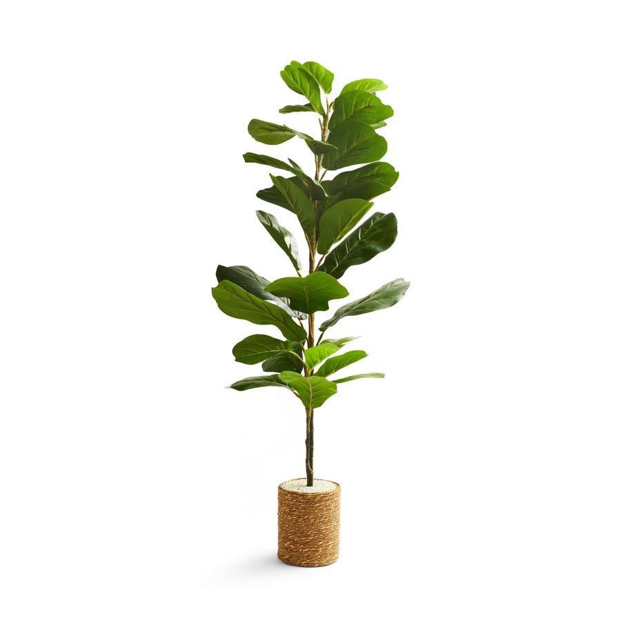 Siempre es mejor una planta natural, pero si no eres capaz de mantenerlas vivas, estas plantas artificiales pueden venirte muy bien y con estos maceteros, son ideales. Precio: 35 euros.