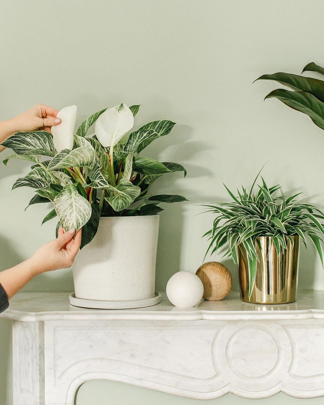 El juego de texturas y colores es perfecto para decorar nuestra casa con plantas: en este caso, la terracota y el metal dorado consiguen una armonía perfecta. Precios: entre 19.99 y 24.99 euros en H&M Home.