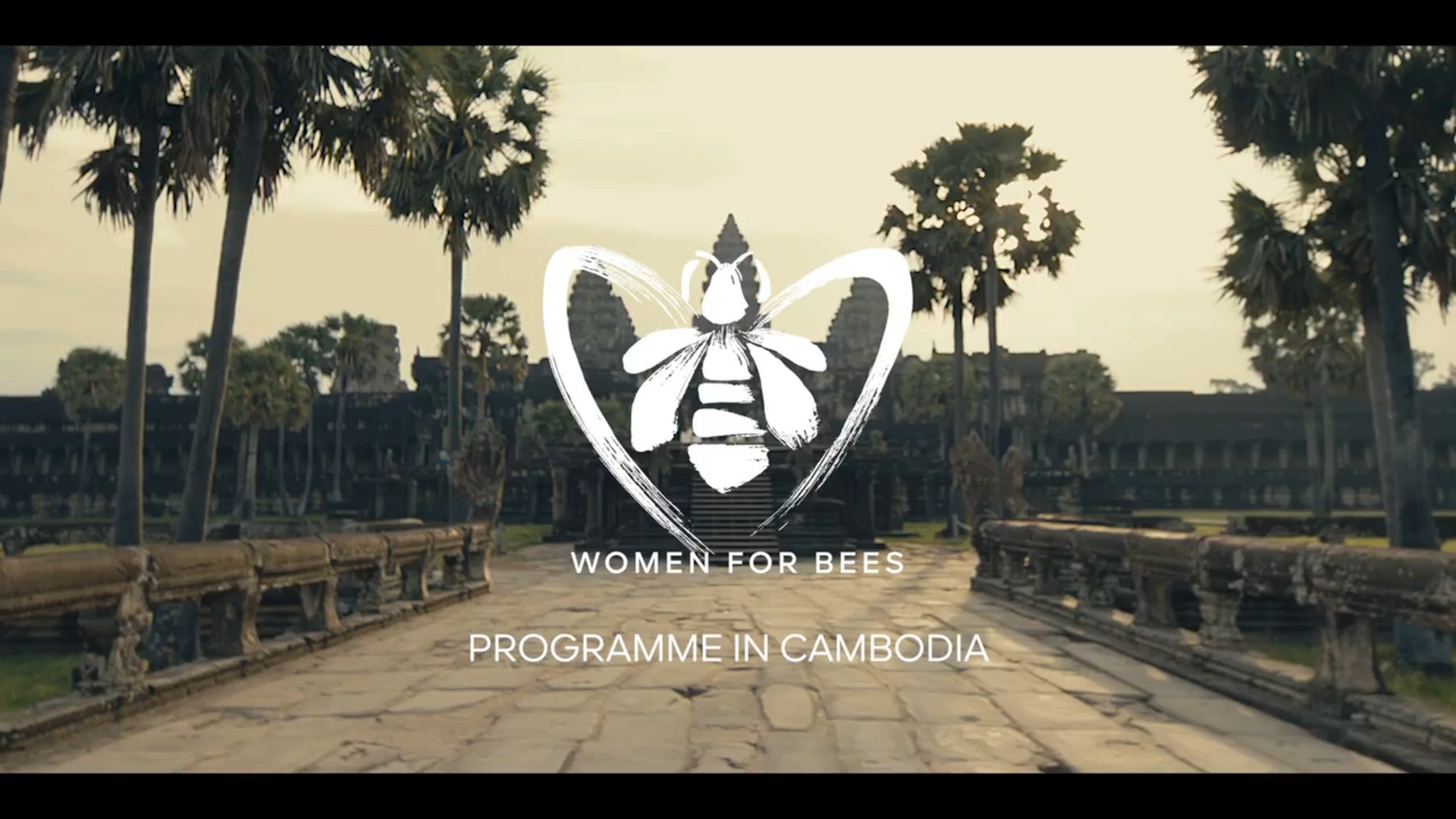 Angelina Jolie, protagonista de la iniciativa «Women for Bees»