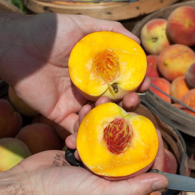 Las frutas con hueso como el melocotón son bajas en calorías y muy ricas en nutrientes como las vitaminas C y A. Además, son muy saciantes ya que también tienen mucha fibra. 100 gramos de melocotón contienen, aproximadamente, 39 calorías.