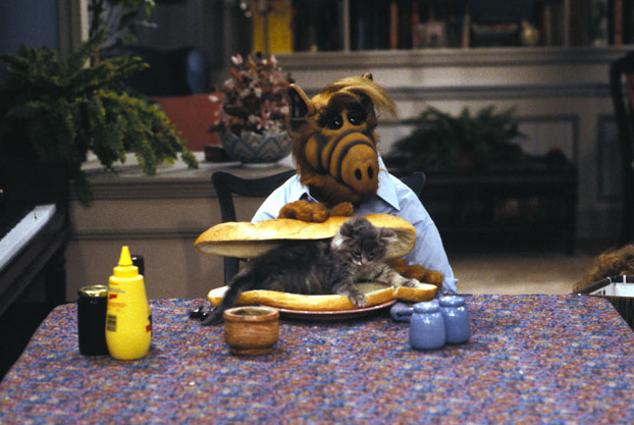 A finales de los años 80 un alienígena aterrizó en nuestros televisores y desde entonces Melmac se convirtió en un lugar tan marciano como el propio Marte. El alienígena era Alf, y aunque la serie solo duró cuatro temporadas, para aquellos que nacimos en esa época, o poco después, esta comedia familiar fue una de nuestras primeras experiencias televisivas. Ahora, desde el día 10, podemos disfrutar en HBO Max de sus 102 episodios para celebrar la nostalgia y disfrutar de una de las producciones más conocidas de finales del siglo XX. 