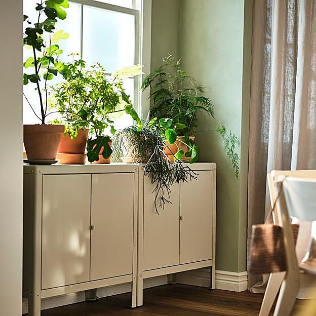 Combinar plantas pequeñas con otras de más altas, el combo perfecto para conseguir dinamismo y elegancia en casa.