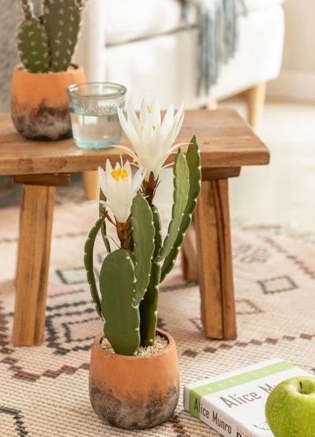 Imagen - Las planta son necesarias en cualquier rincónd e la casa, y más aún en el salón.