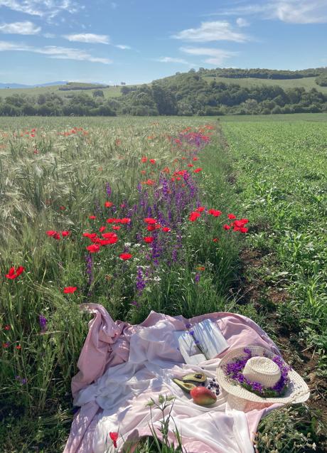 Imagen - La vitamina D no se encuentra en muchos alimentos/PEXELS