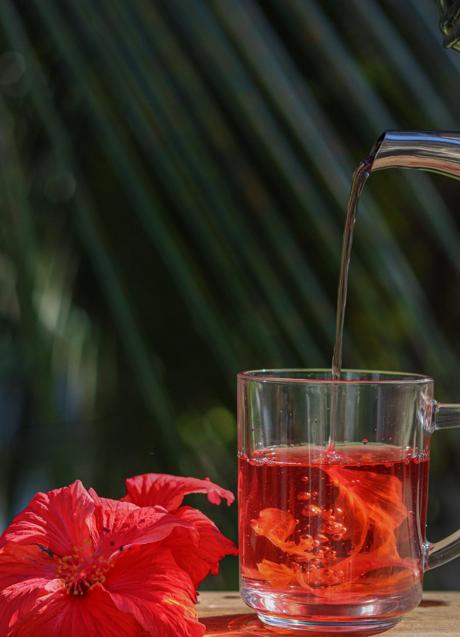 Imagen - Té de hibisco/PEXELS