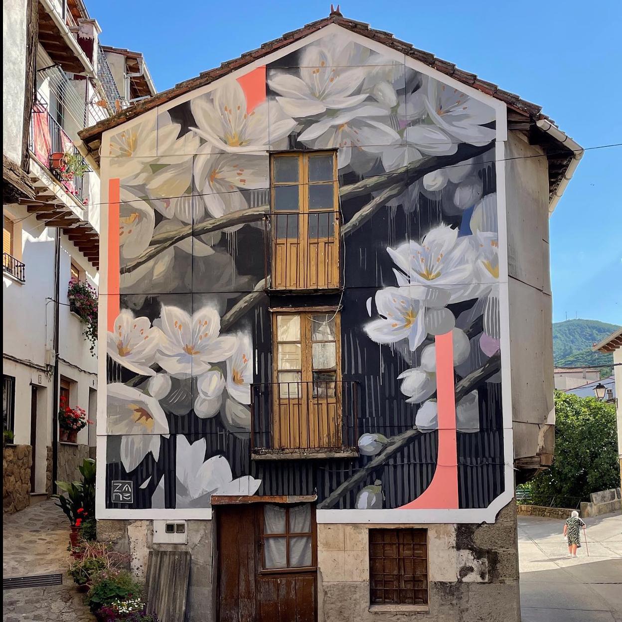 Flor de cerezo, pintado por Zane Prater, en Cabezuela (Cáceres).