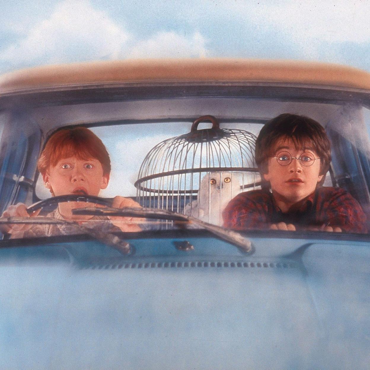 Harry Potter (Daniel Radcliffe) y Ron Weasley (Rupert Grint) con la lechuza Hedwig. 