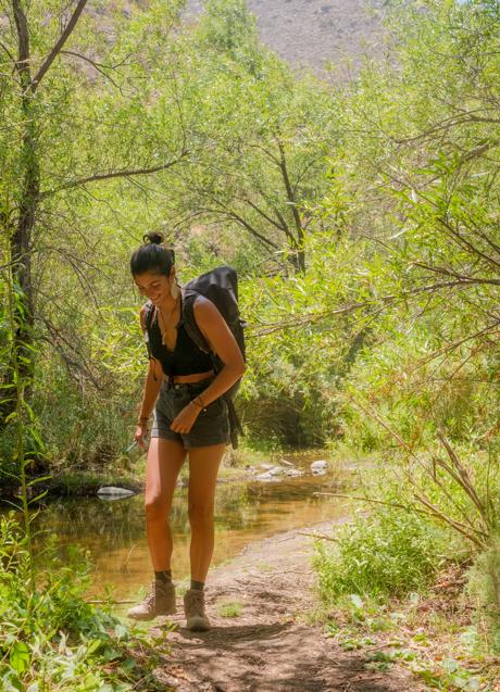 Imagen - Mujer caminando por el bosque/PEXELS