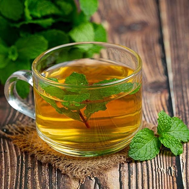 Taza de infusión de menta. 