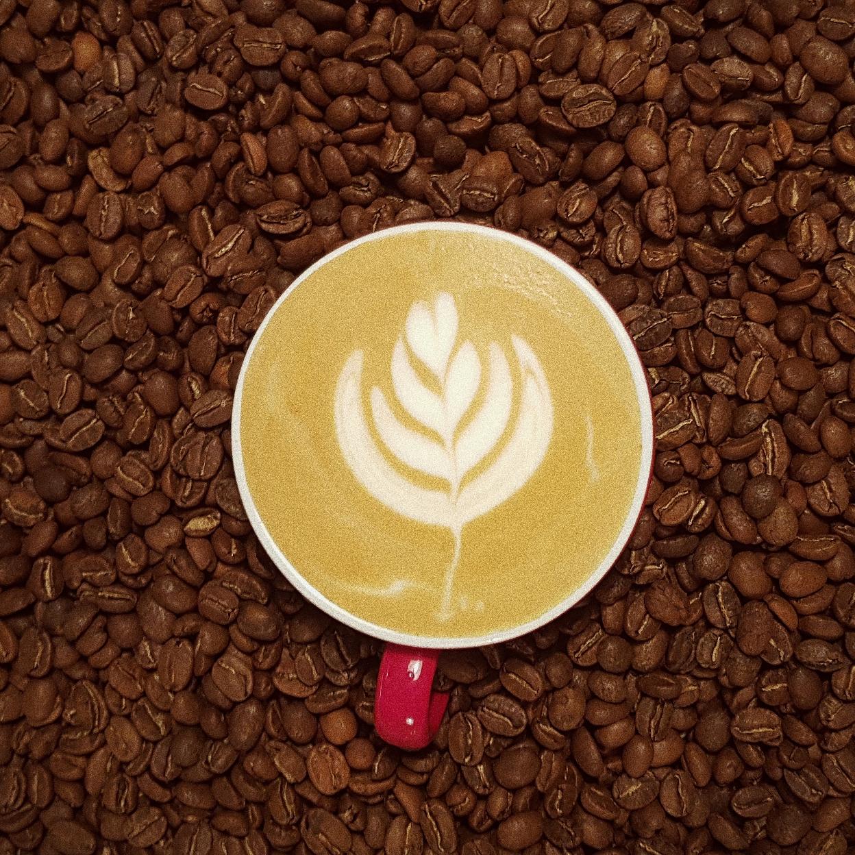 Los granos de café tostados en su punto justo, una de las claves del buen café de especialidad.