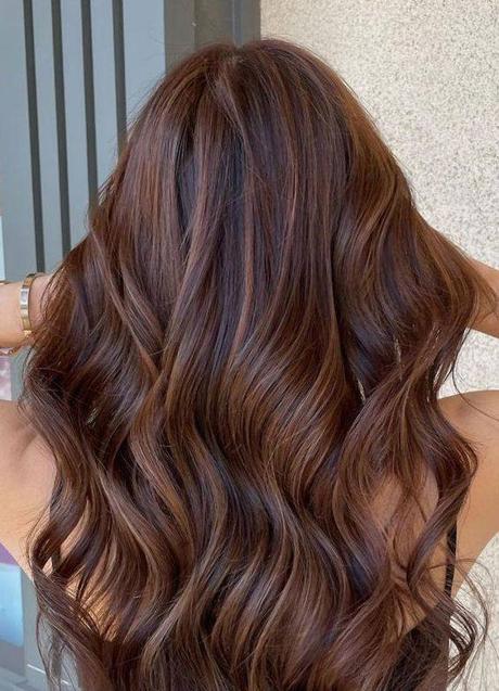 Imagen - Cabello moreno con mechas tono cobrizo