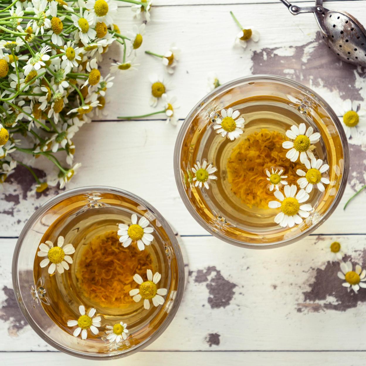 Dos vasos de infusión de manzanilla y flores de manzanilla. 