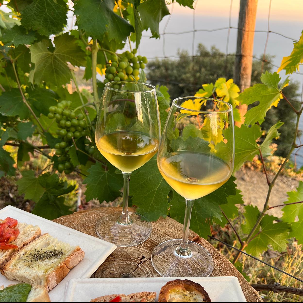 El verano es un momento perfecto para disfrutar de una copa de vino blanco en cualquier lugar.