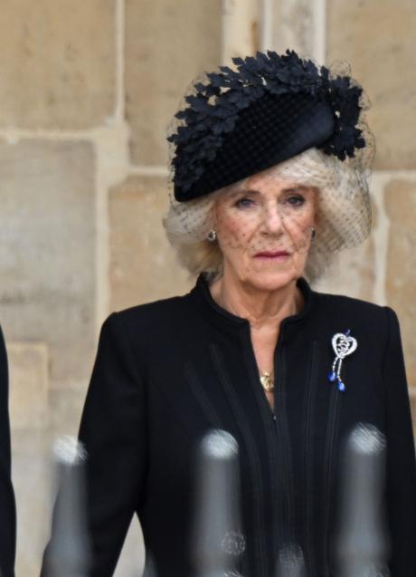 Imagen - El broche del jubileo de diamantes de Hesse. / GTRES