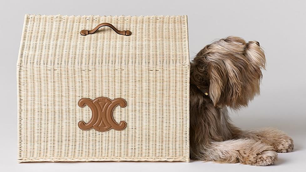 La nueva colección de mascotas de Celine.
