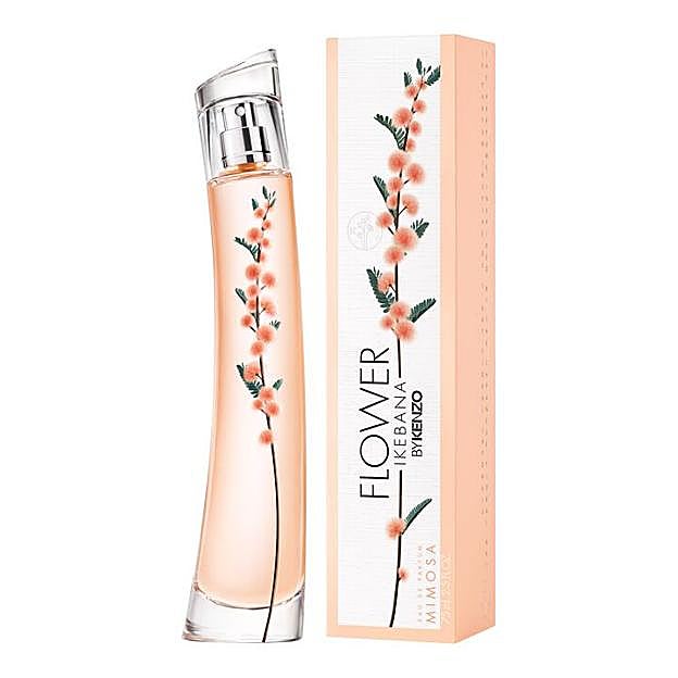 Flower Ikebama Mimosa 