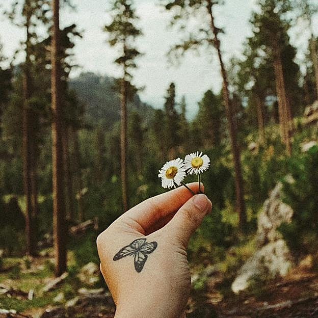 Los tatuajes de mariposa también pueden significar libertad o feminidad 