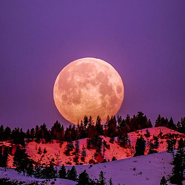 Los beneficios de la Luna Llena de Fresa en junio: cómo canalizar su energía de aventura, expansión y libertad