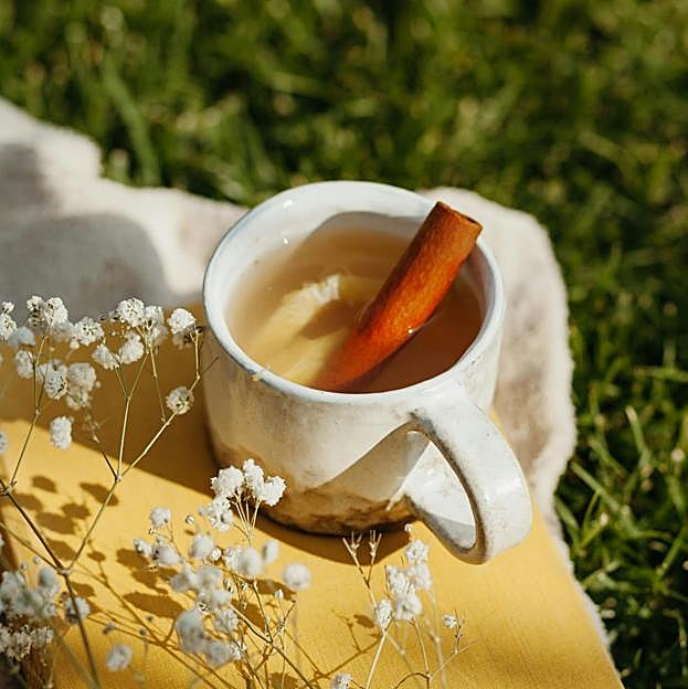 Infusión de canela