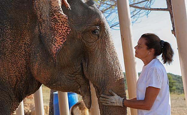 Estefanía de Mónaco en el santuario de elefantes de Roc Agel. 