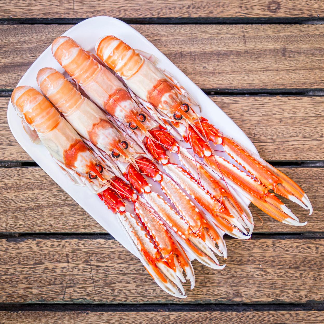 Las cigalas son las protagonistas de las jornadas gastronómicas del Grupo Oter.