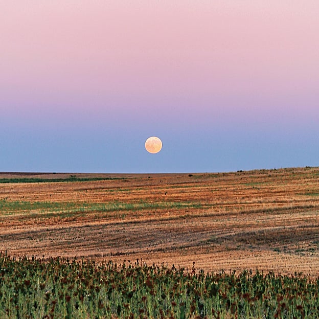 Luna llena de verano
