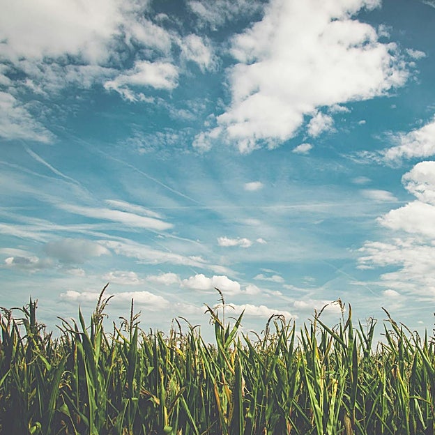 Así funcionan las Cabañuelas de agosto: de la lluvia en San Lorenzo a las olas de calor, la predicción del tiempo en España para 2025