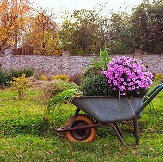 Cuatro cuidados básicos que necesitan las plantas de tu terraza y el césped del jardín antes de que llegue el frío
