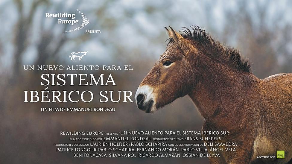 Cartel del cortometraje Un nuevo aliento para el Sistema Ibérico Sur.