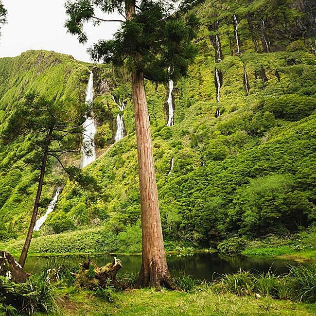 Ruta por los bosques de laurisilva.