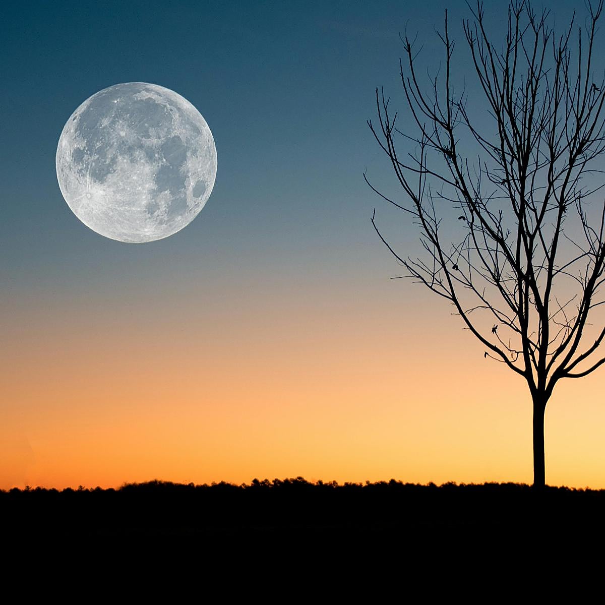 La Luna Llena de julio.