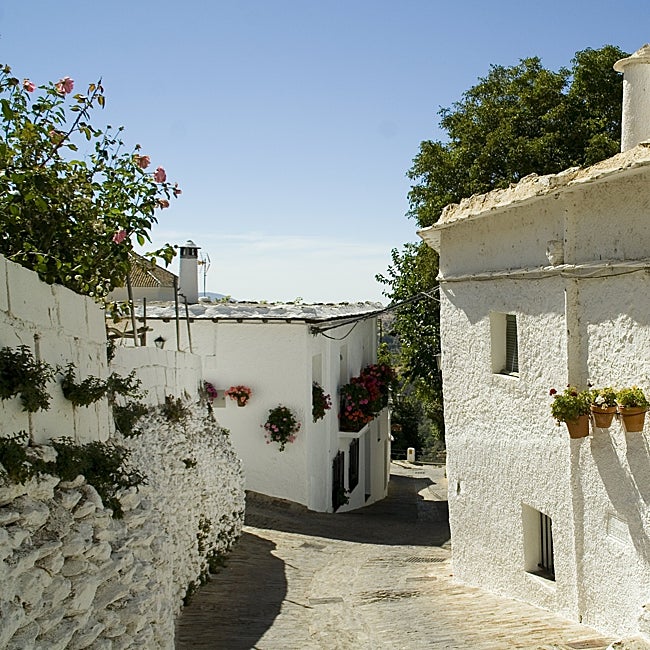 Una de las calles de Bubión, entre el blanco y las flores.