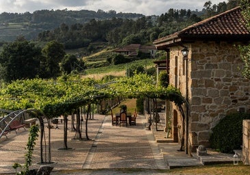 Vista de los viñedos más cercanos a las casas que forman parte de la Finca A Vilerma, en la provincia de Orense.