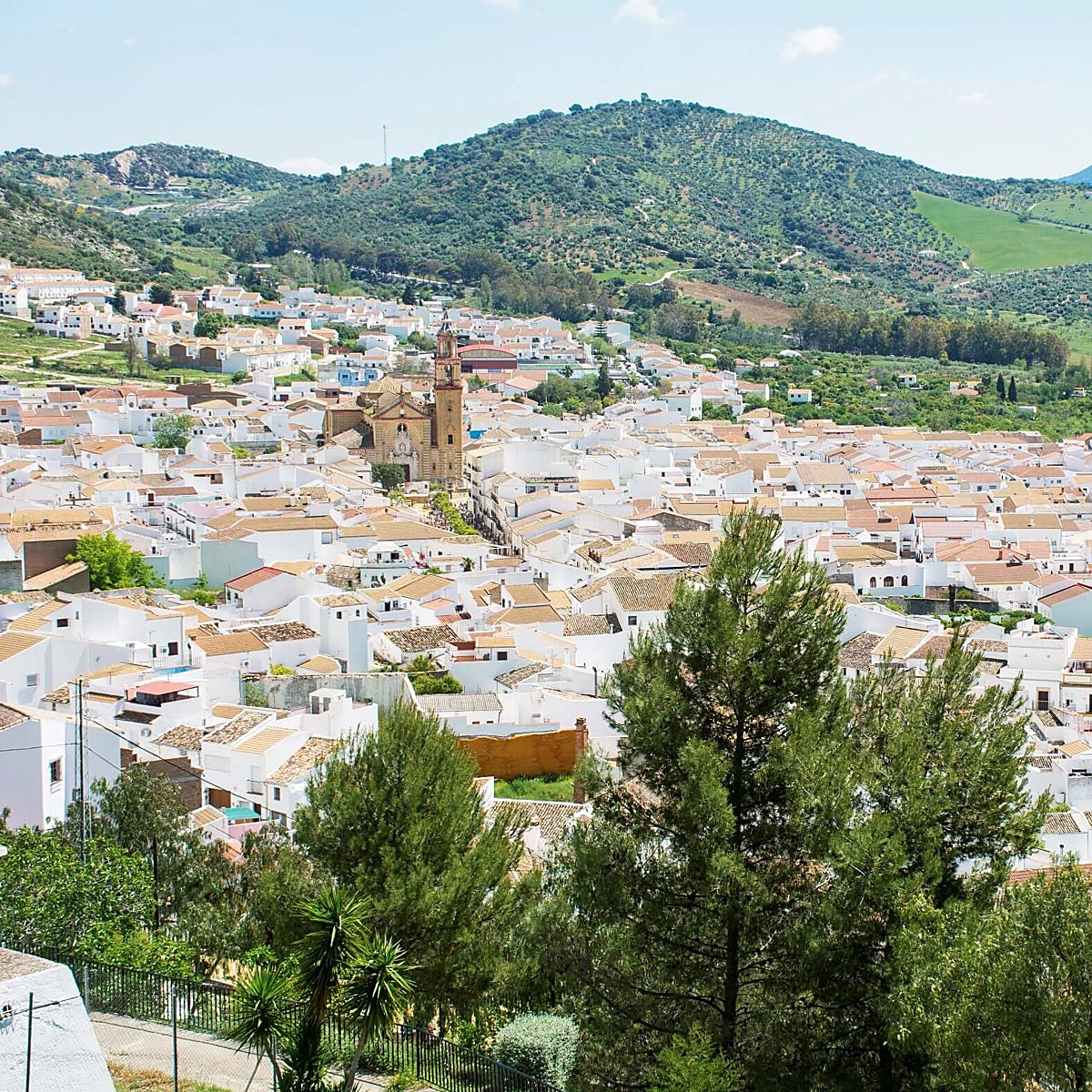Algodonales está en la sierra de Líjar, dentro del Parque Natural Sierra de Grazalema.