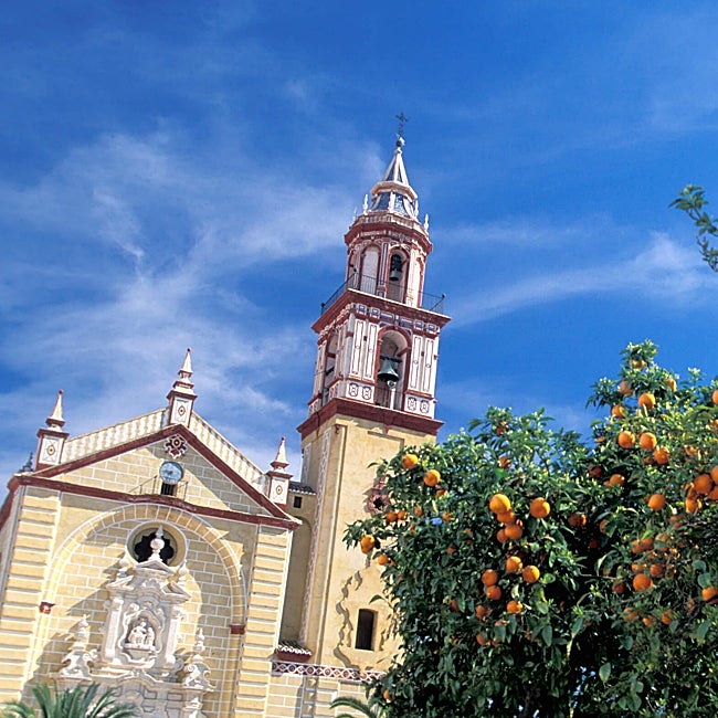 La iglesia de Santa Ana y los naranjos son emblema de Algodonales.