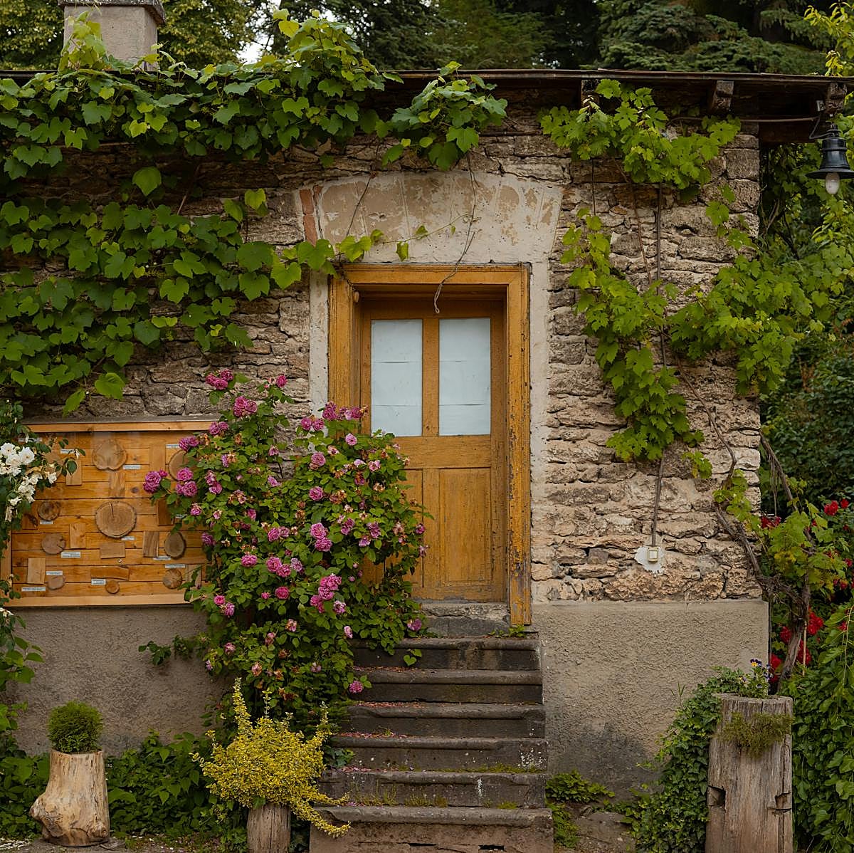 La casa de Tatá, el apodo familiar que da nombre a eta recomendada novela, es un lugar que alberga increíbles secretos.
