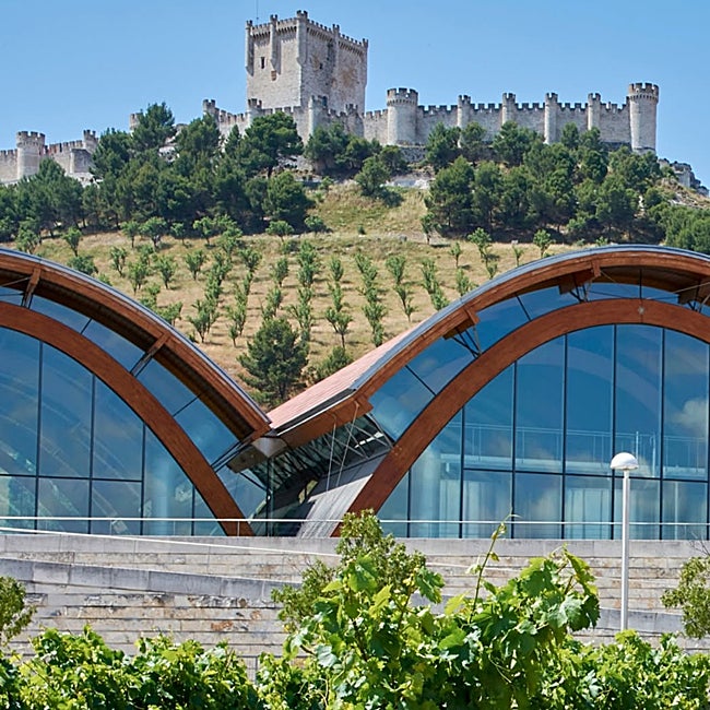 El diseño de esta bodega en Peñafiel con vistas al castillo corrió a cargo del prestigioso arquitecto Richard Rogers.
