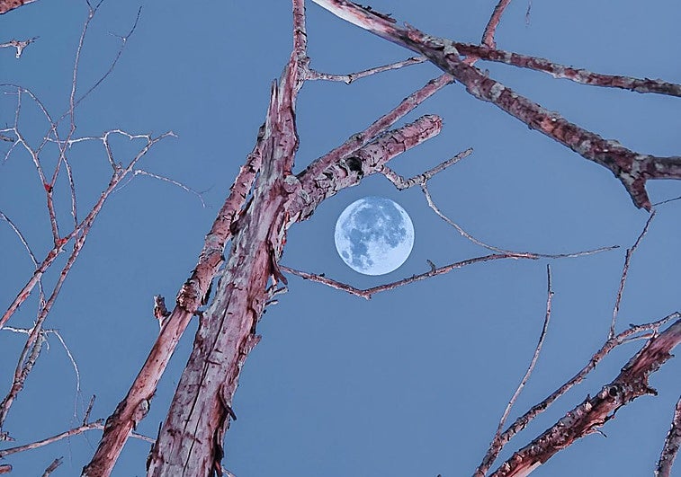 La Superluna del 7 de octubre en Piscis ilumina el cielo.